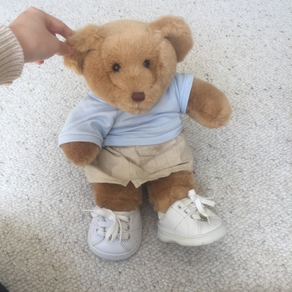 Build-a-bear Teddy Bear